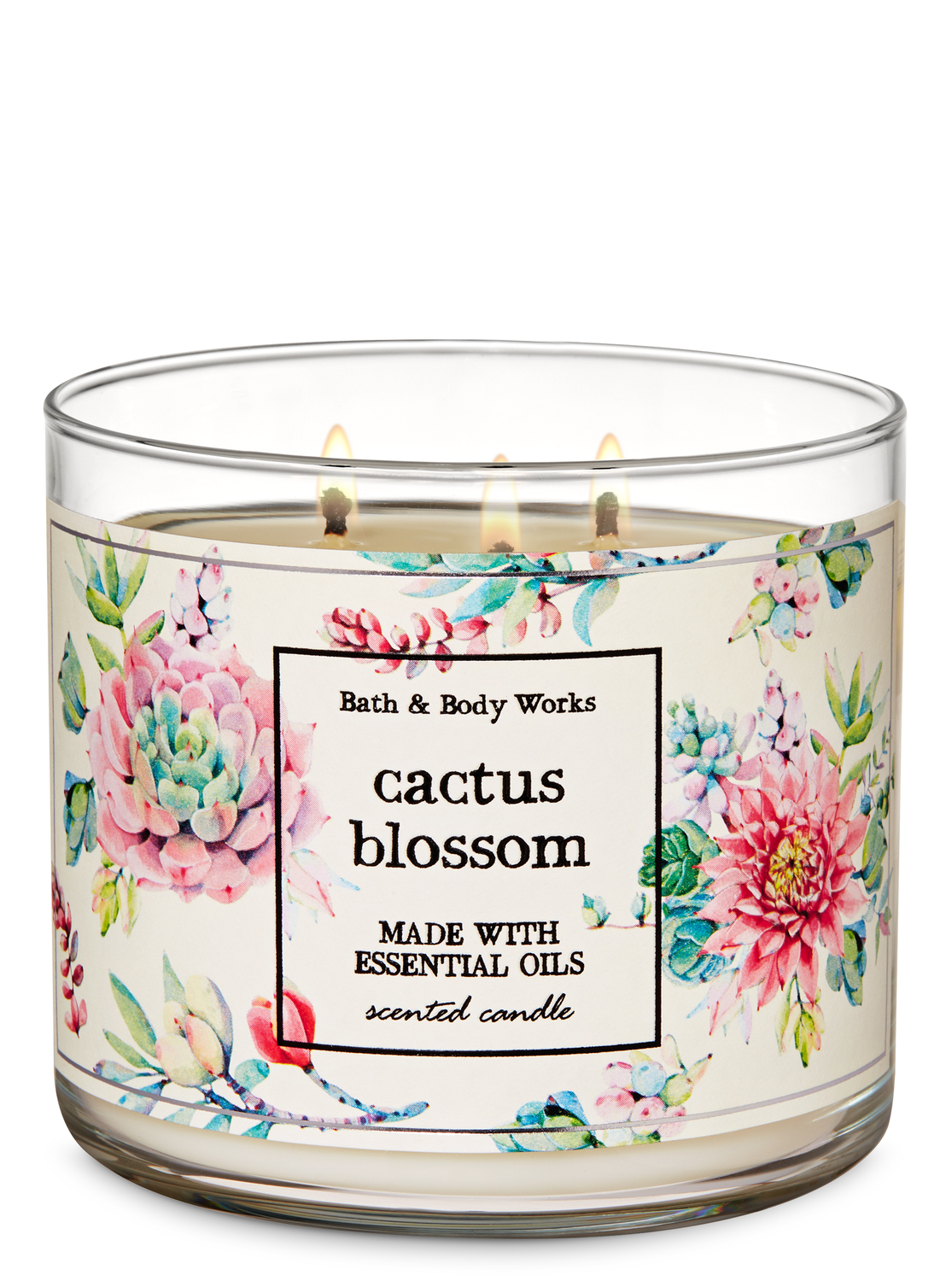 bath and body works cactus blossom candle review