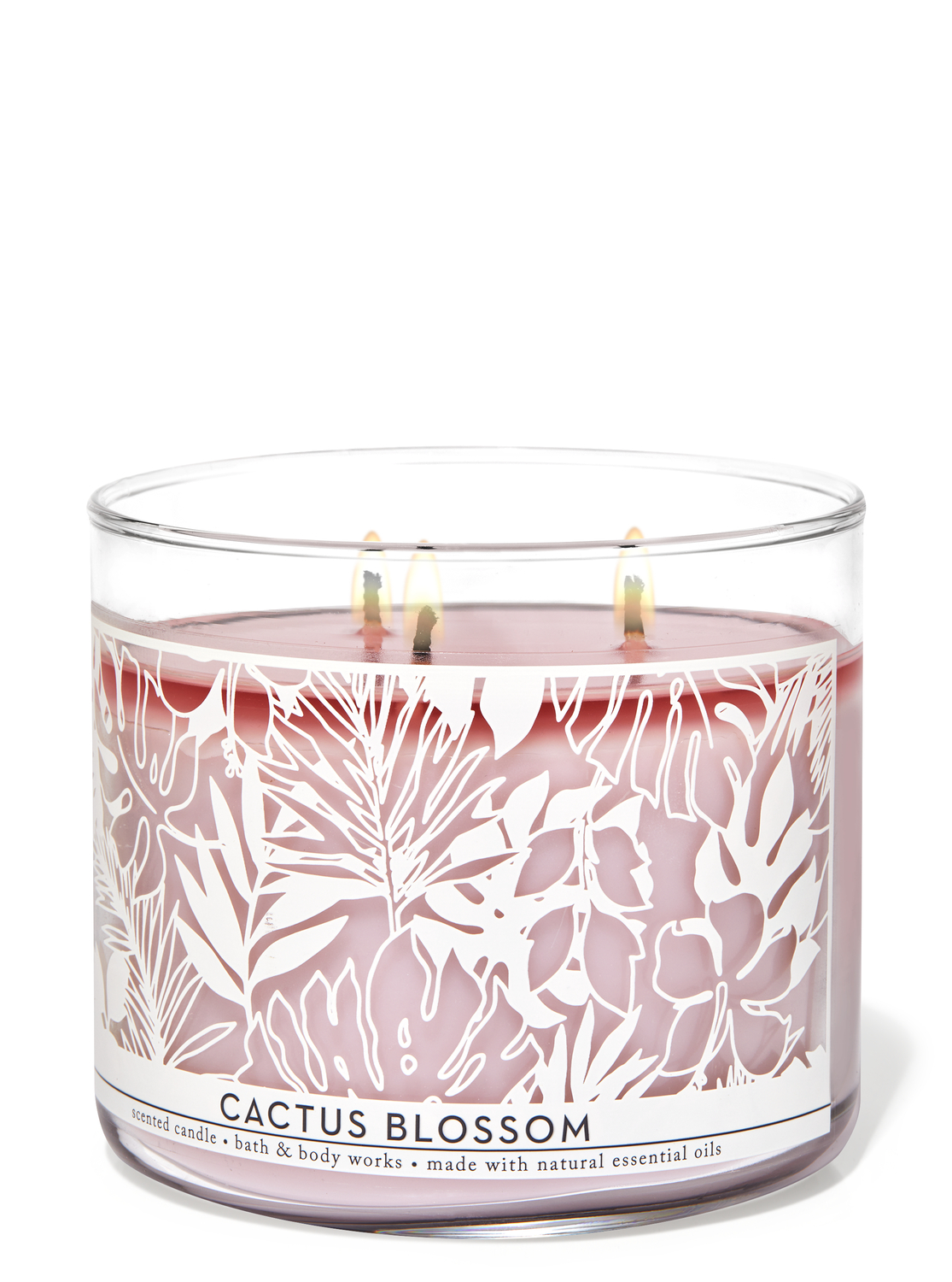 cactus blossom bath and body works candle